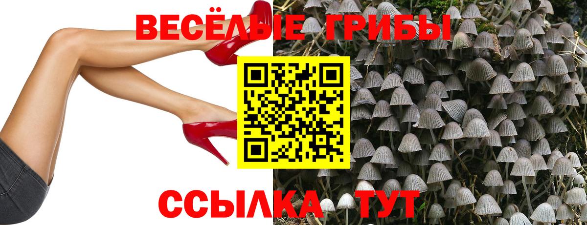 Галлюциногенные грибы прущие грибы  Вход с VPN  Буйнакск 
